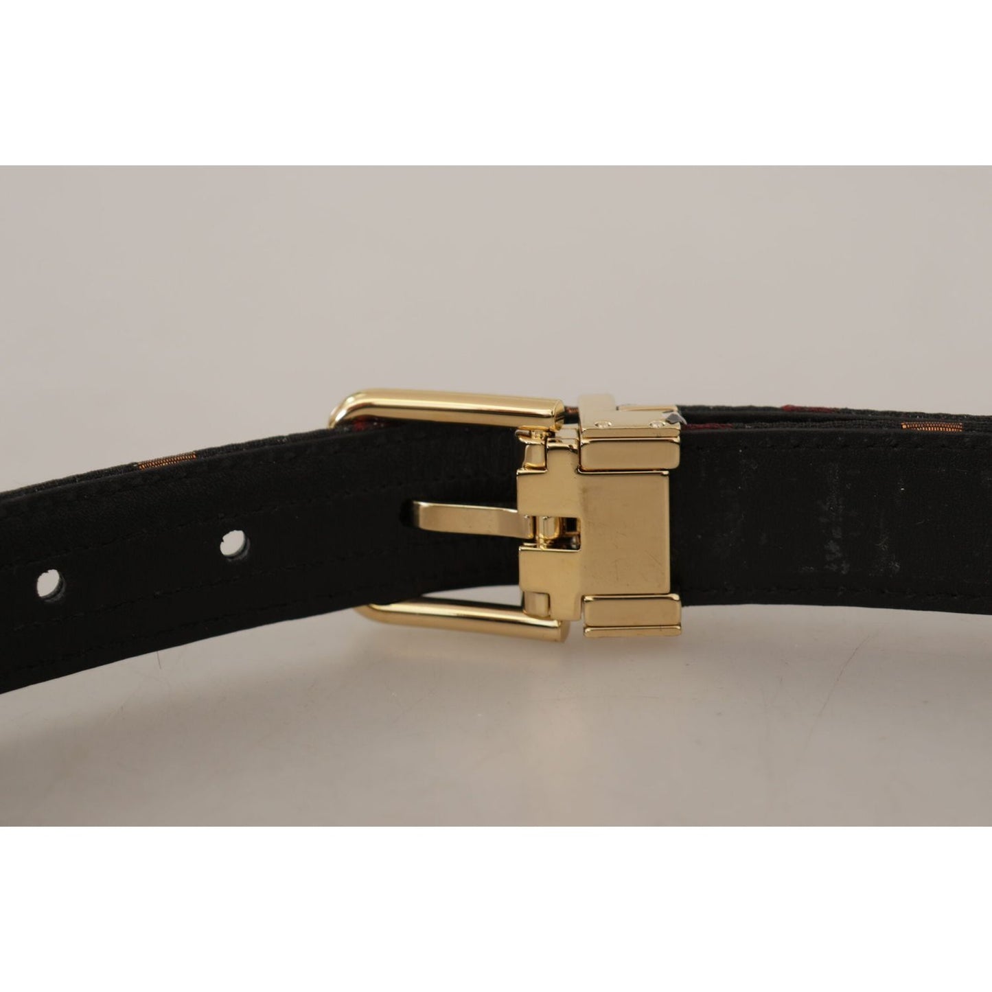 Dolce & Gabbana Multicolor Leather Belt with Gold Buckle Dolce & Gabbana Dark Gray