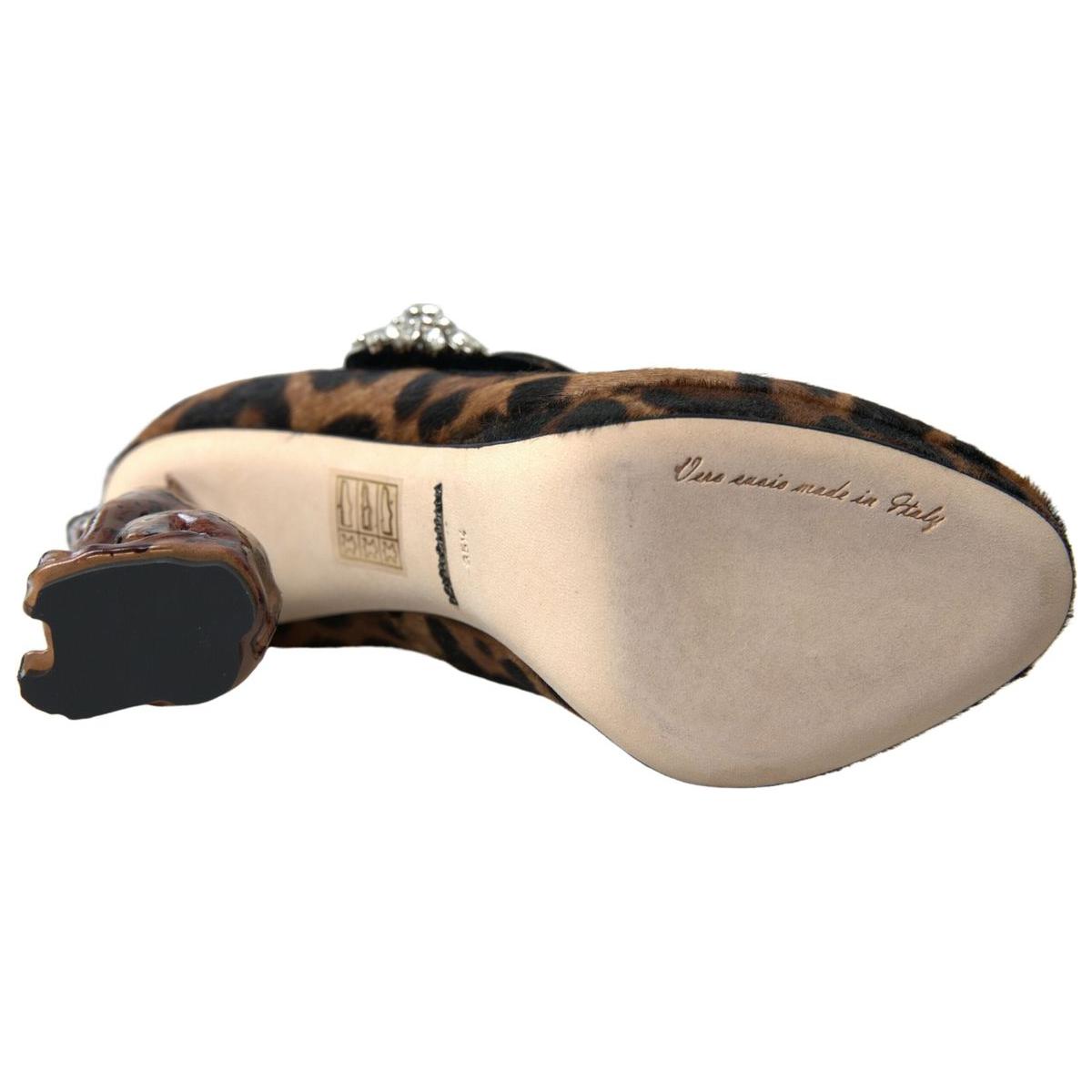 Dolce & Gabbana Elegant Leopard Heel Pumps for Chic Sophistication Dolce & Gabbana Rosy Brown
