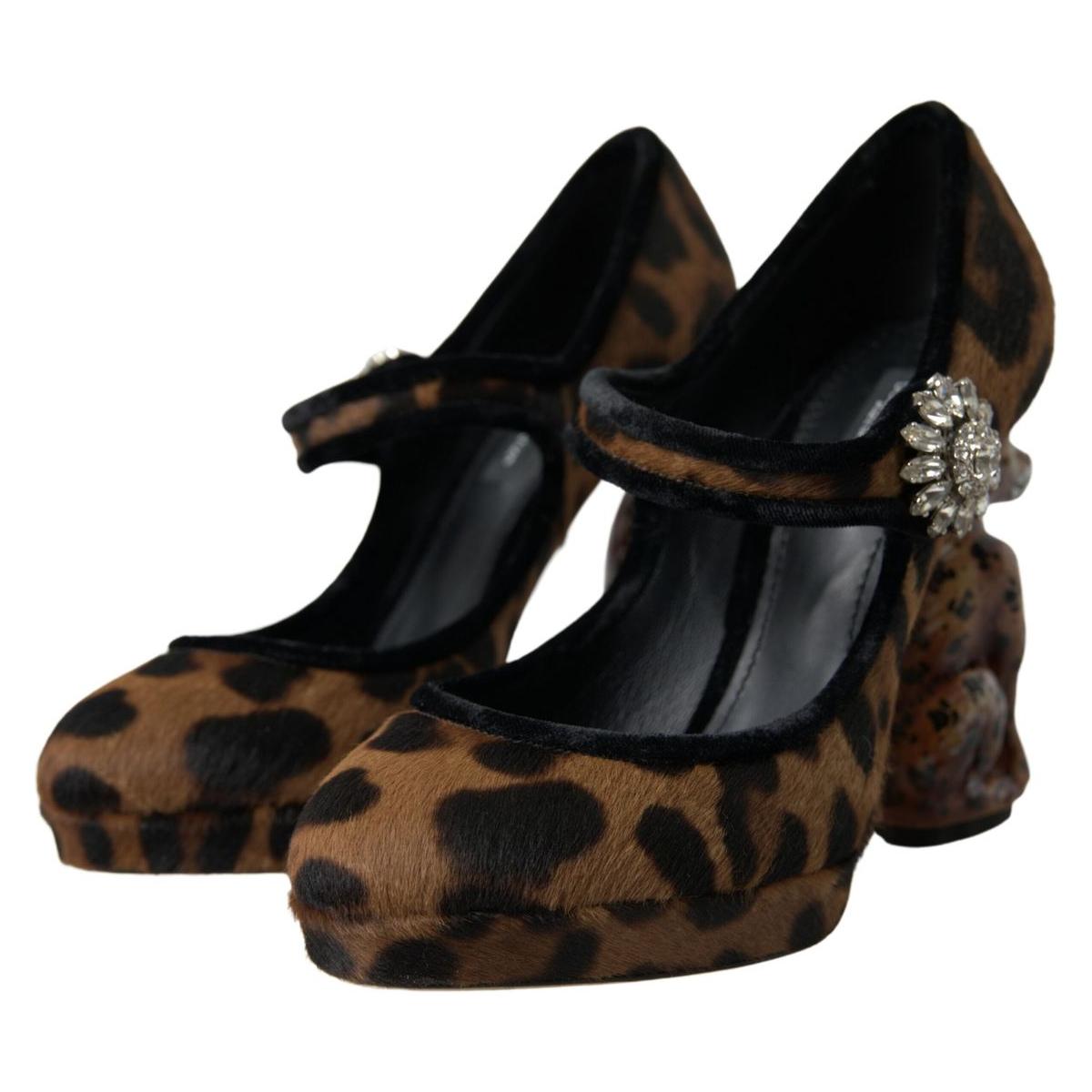 Dolce & Gabbana Elegant Leopard Heel Pumps for Chic Sophistication Dolce & Gabbana Black