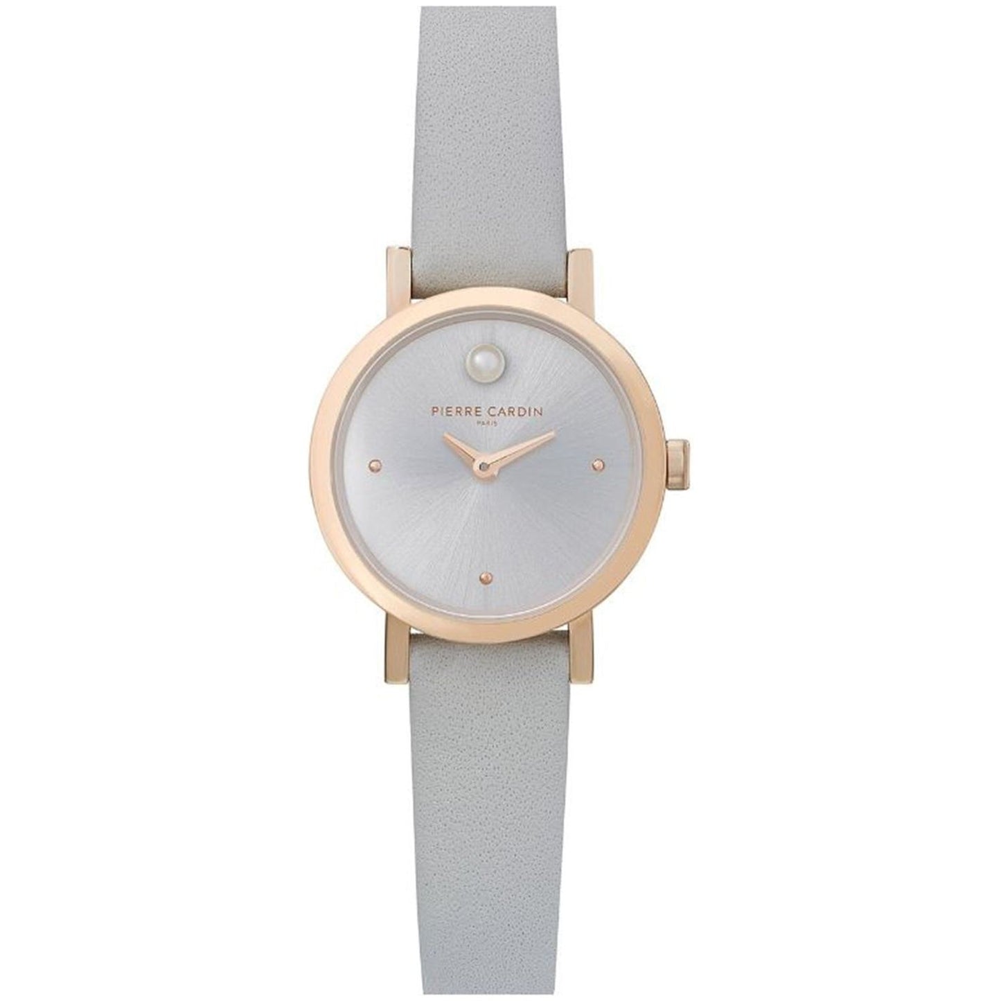 PIERRE CARDIN MOD. CCM-0506 WATCHES PIERRE CARDIN Gray