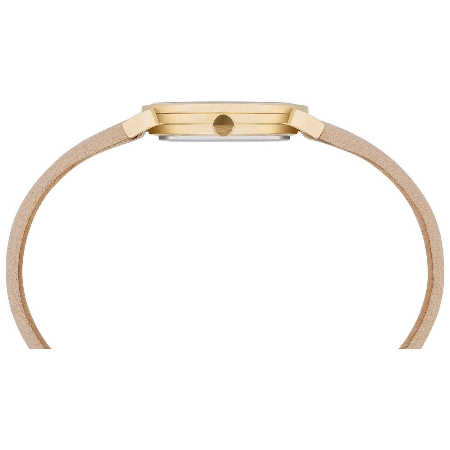 PIERRE CARDIN MOD. CPI-2508 WATCHES PIERRE CARDIN Tan