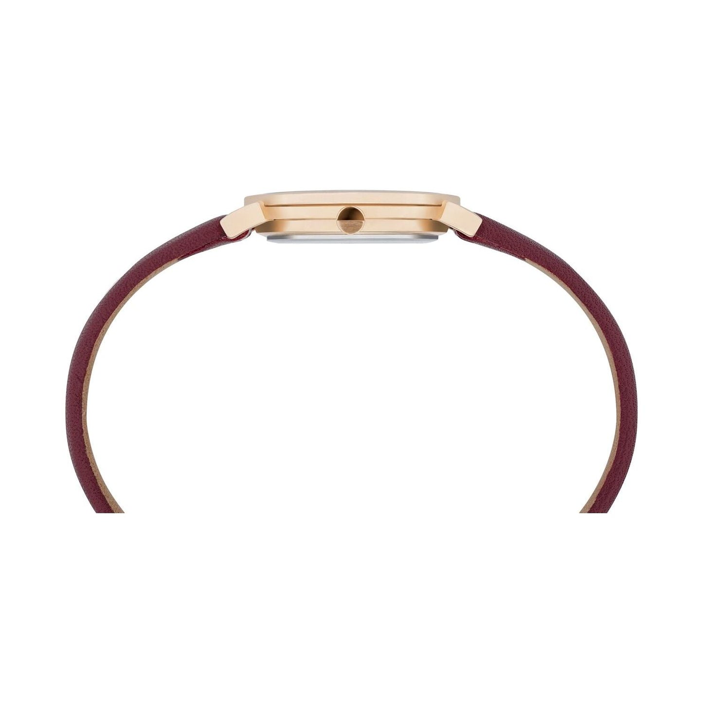 PIERRE CARDIN MOD. CPI-2512 WATCHES PIERRE CARDIN Saddle Brown