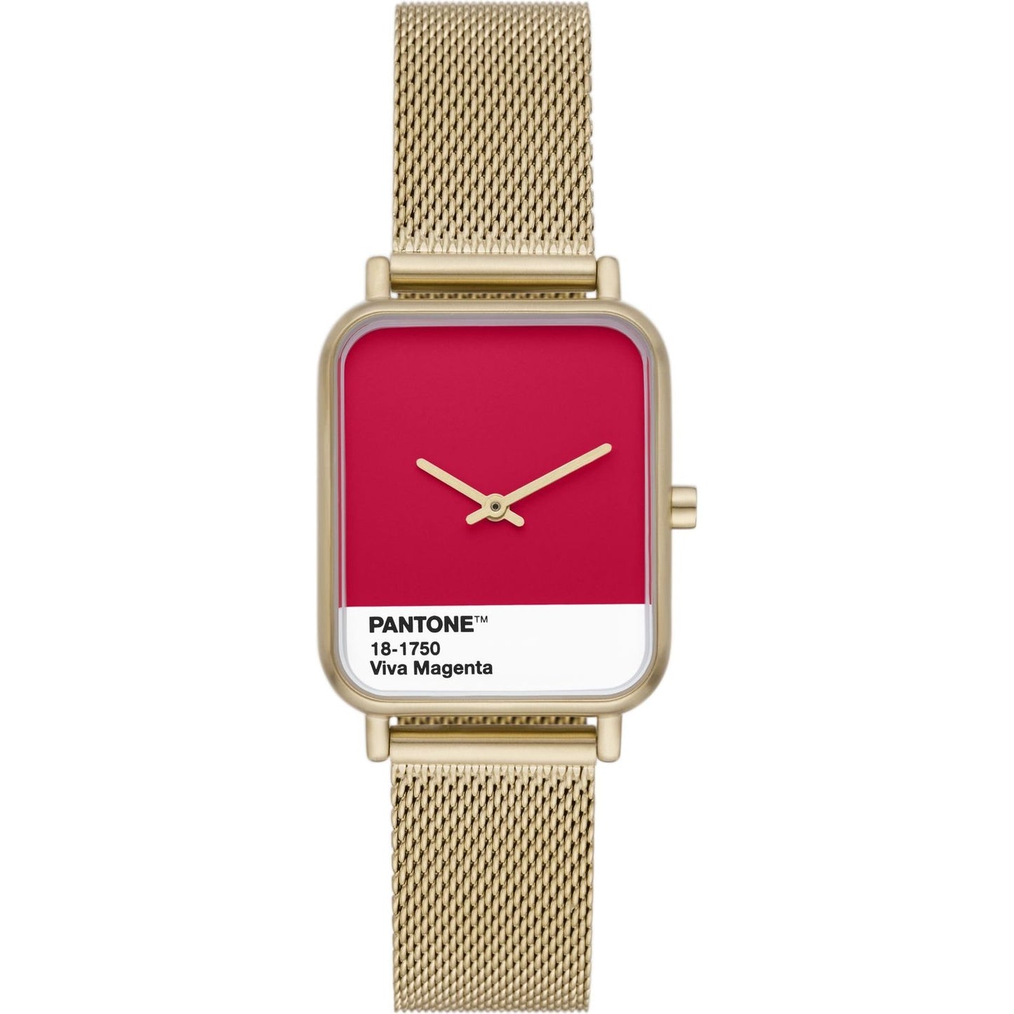 SKAGEN DENMARK Mod. SKAGEN X PANTONE WATCHES SKAGEN DENMARK Tan