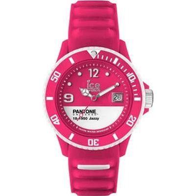 ICE WATCH Mod. PAN-BC-JAZ-U-S-13 WATCHES ICE-WATCH Maroon