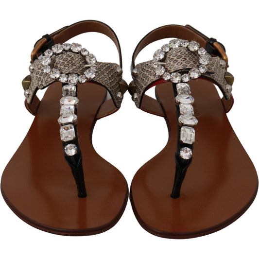 Dolce & Gabbana Elegant Strappy Sandals with Exotic Charm Dolce & Gabbana Dark Olive Green