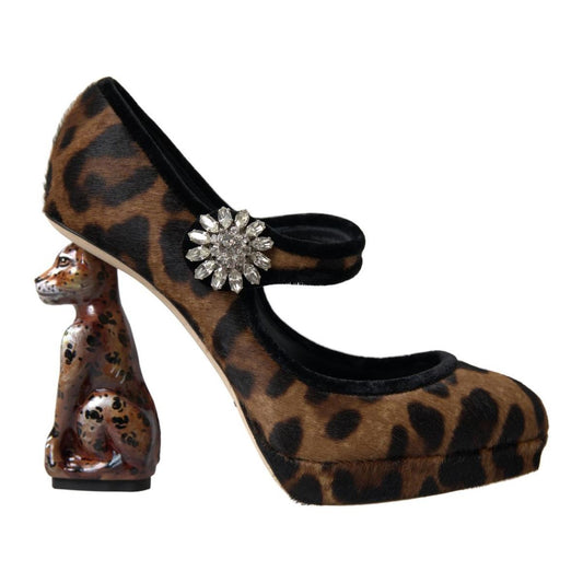 Dolce & Gabbana Elegant Leopard Heel Pumps for Chic Sophistication Dolce & Gabbana Black