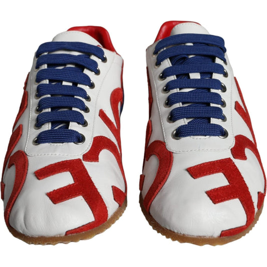 Dolce & Gabbana Multicolor Leather Logo Casual Sneakers Shoes Dolce & Gabbana Gray