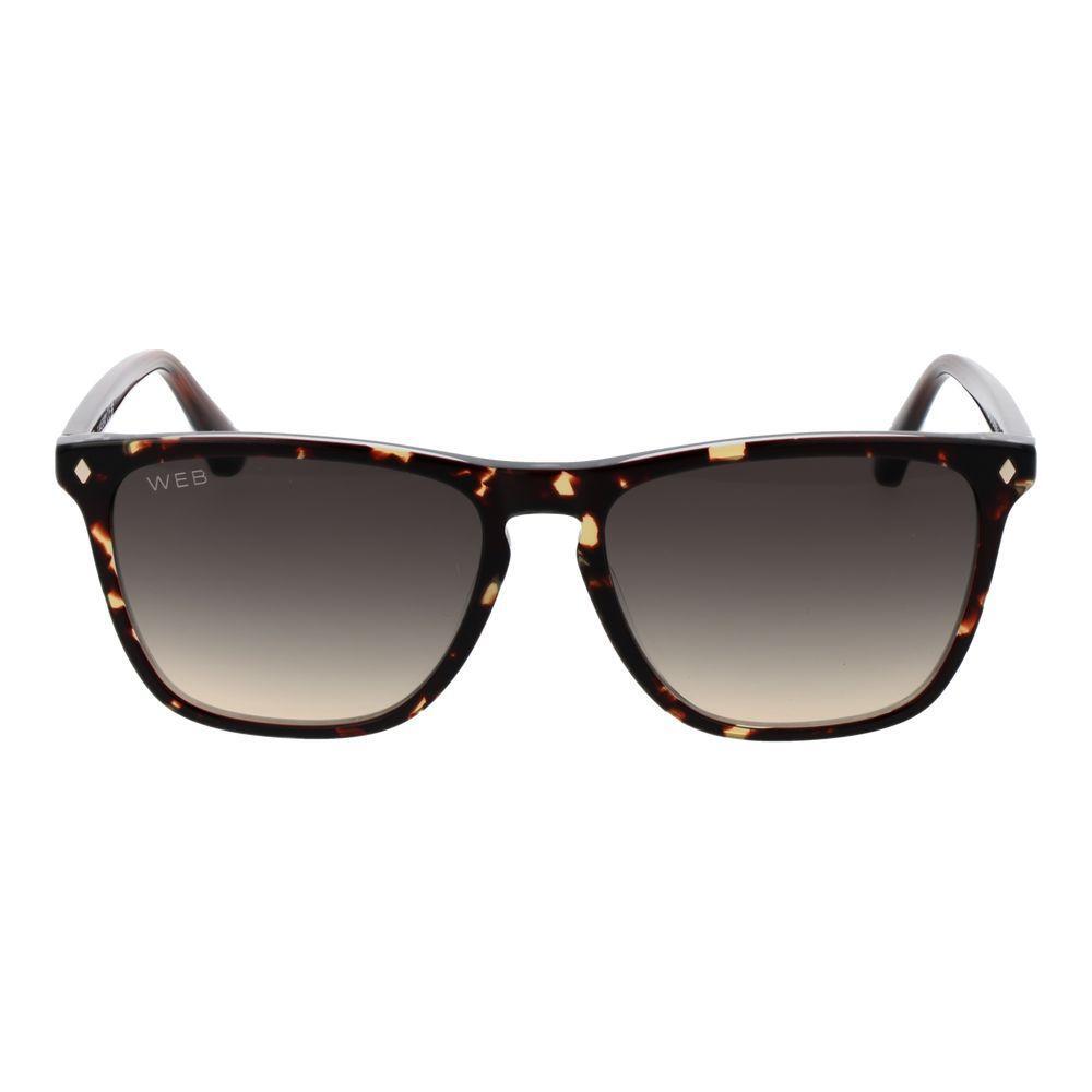 Web Brown Acetate Sunglasses