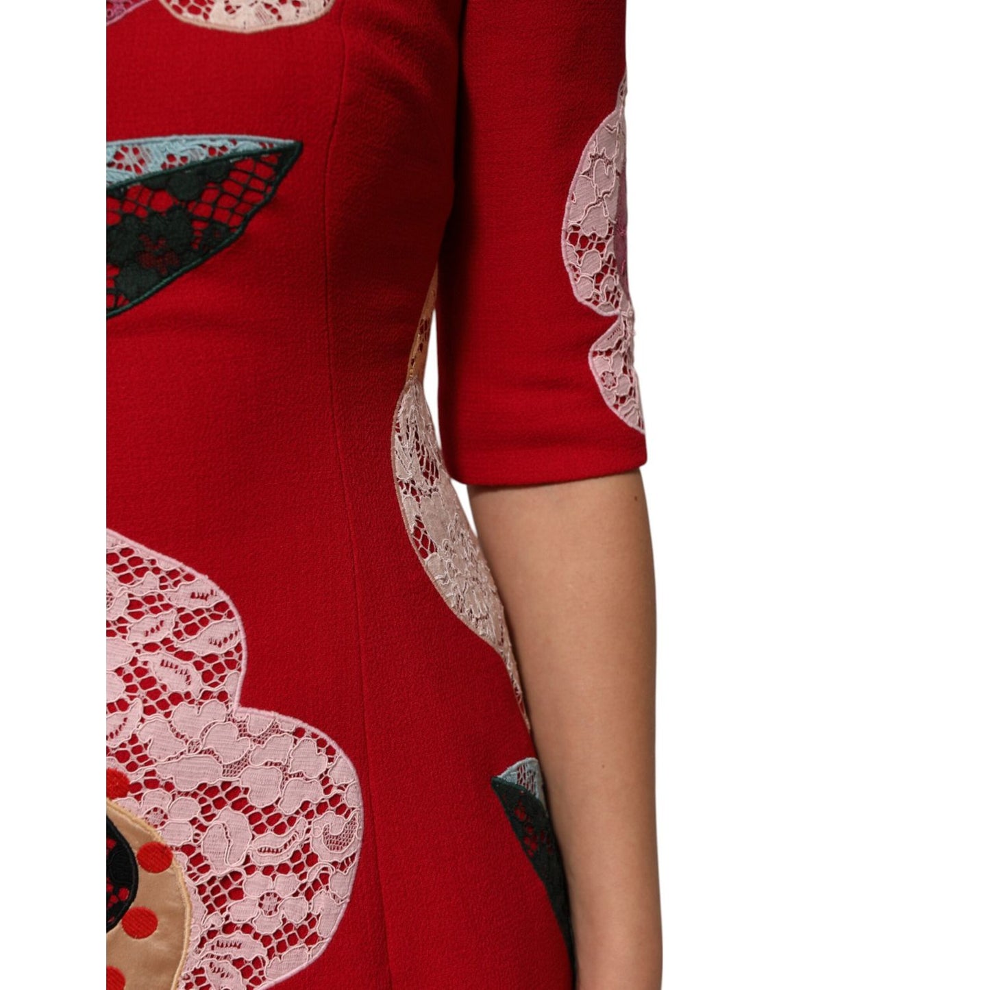 Dolce & Gabbana Red Lace Floral Applique A-line Mini Dress