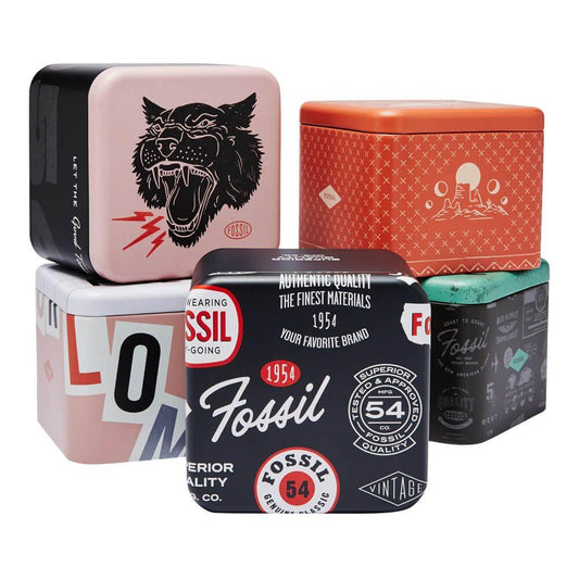FOSSIL Mod. FS5830 FS5830
